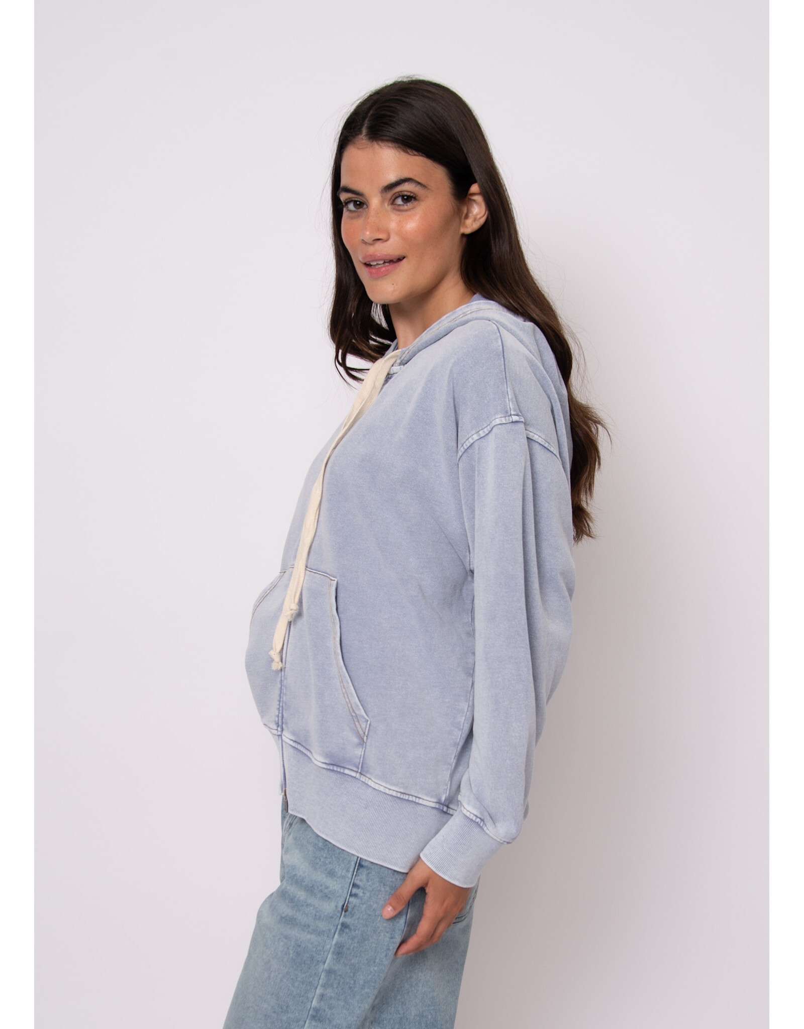 RD Style RD Style - Katty French Terry Hoodie (Ash Blue)