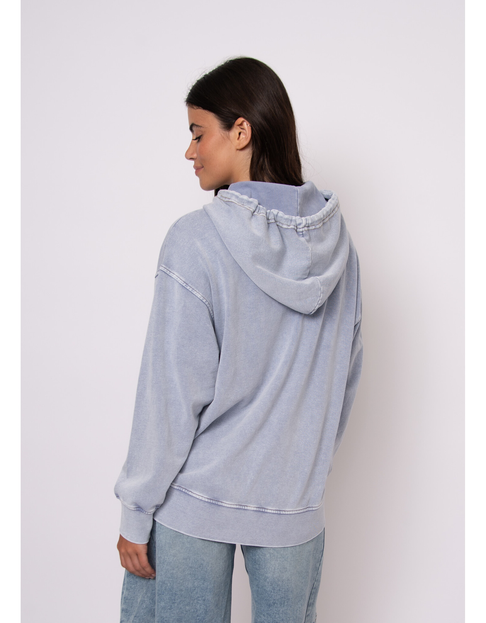 RD Style RD Style - Katty French Terry Hoodie (Ash Blue)