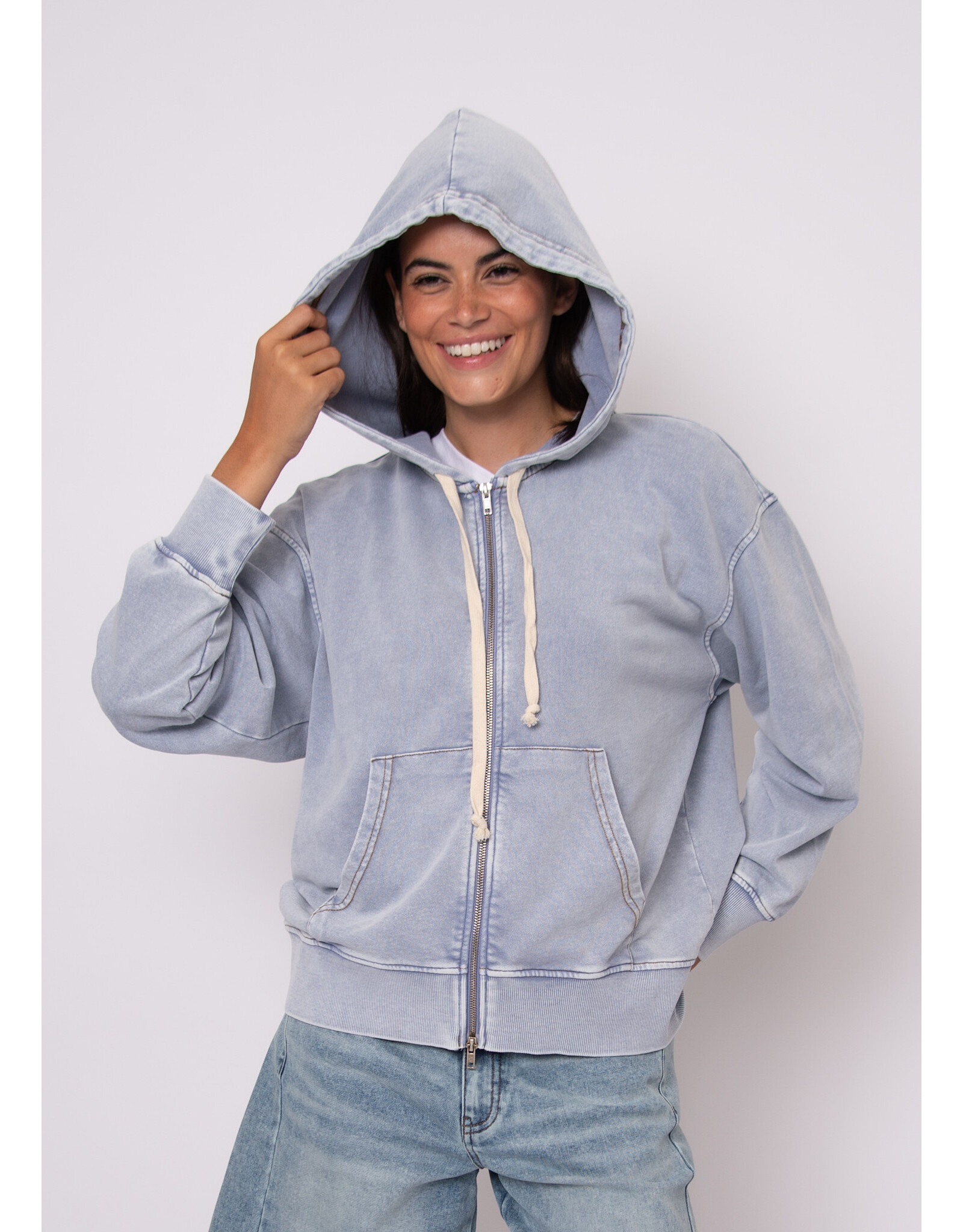 RD Style RD Style - Katty French Terry Hoodie (Ash Blue)