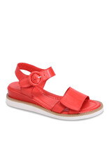 Miz Mooz Miz Mooz - Eva (Scarlet)