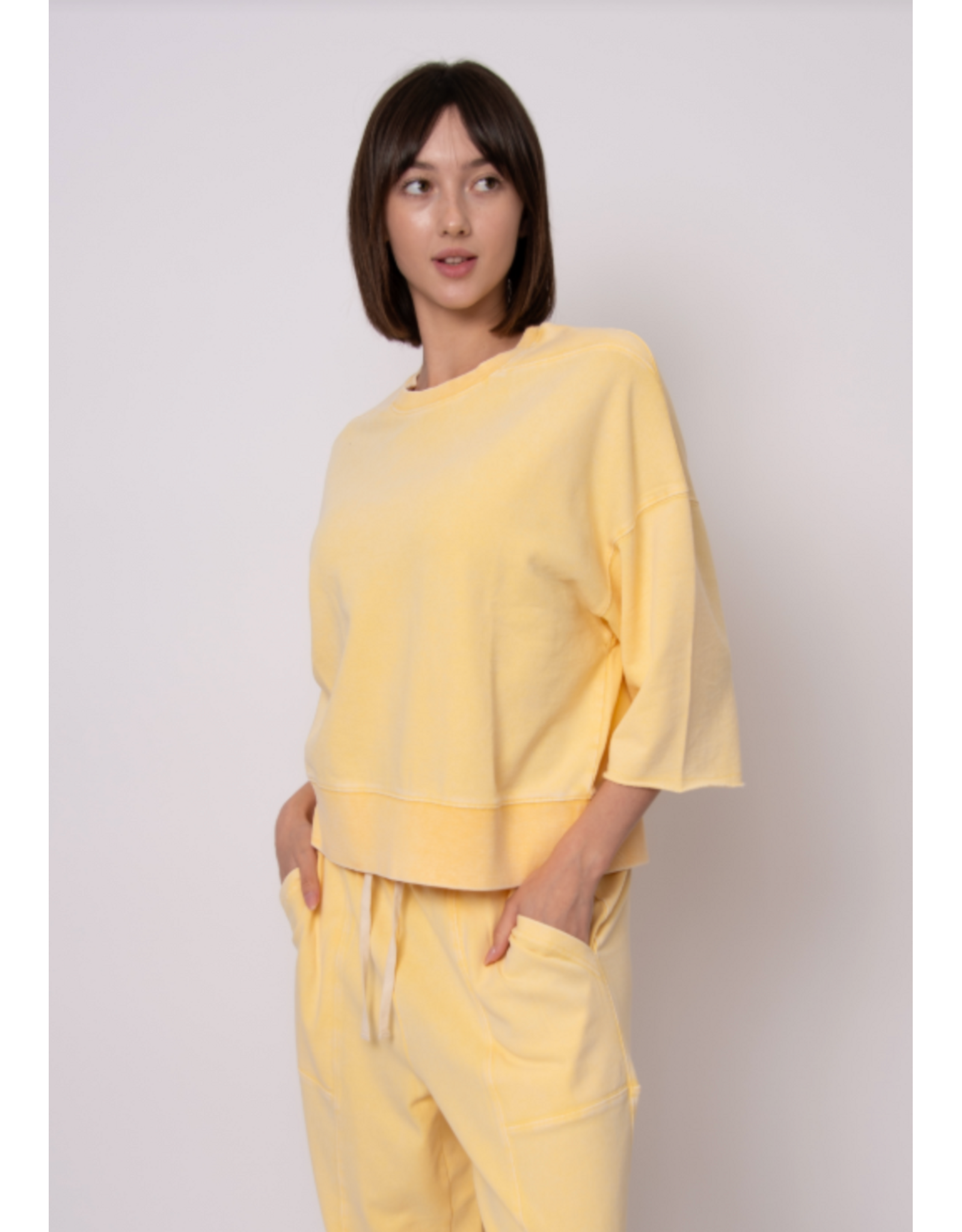 RD Style RD Style - Brie French Terry Short Sleeve Top (Corn)