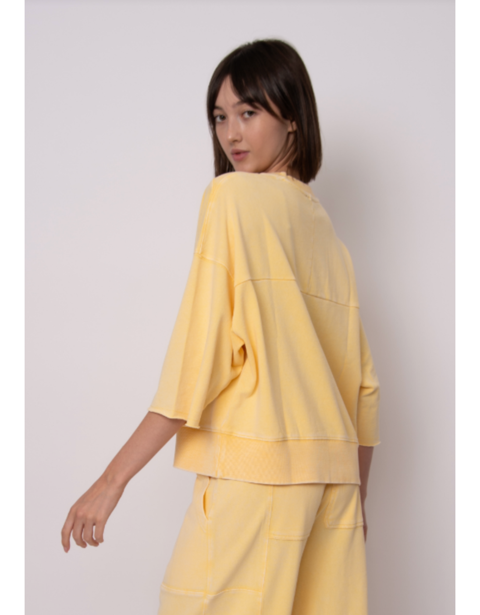 RD Style RD Style - Brie French Terry Short Sleeve Top (Corn)