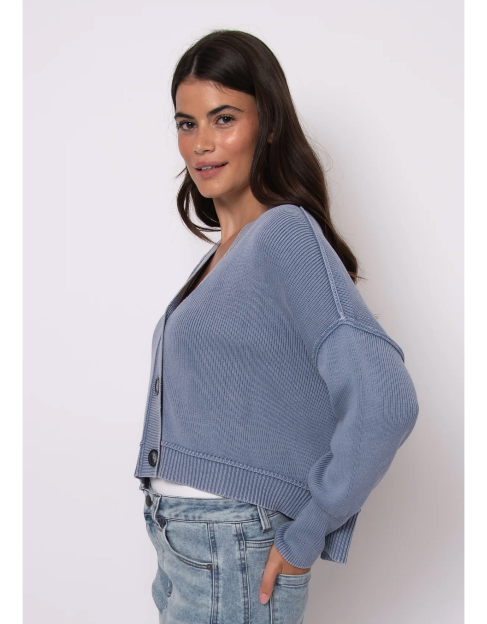 RD Style RD Style - Sumire Long Sleeve V Neck Cardigan (Acid Blue)