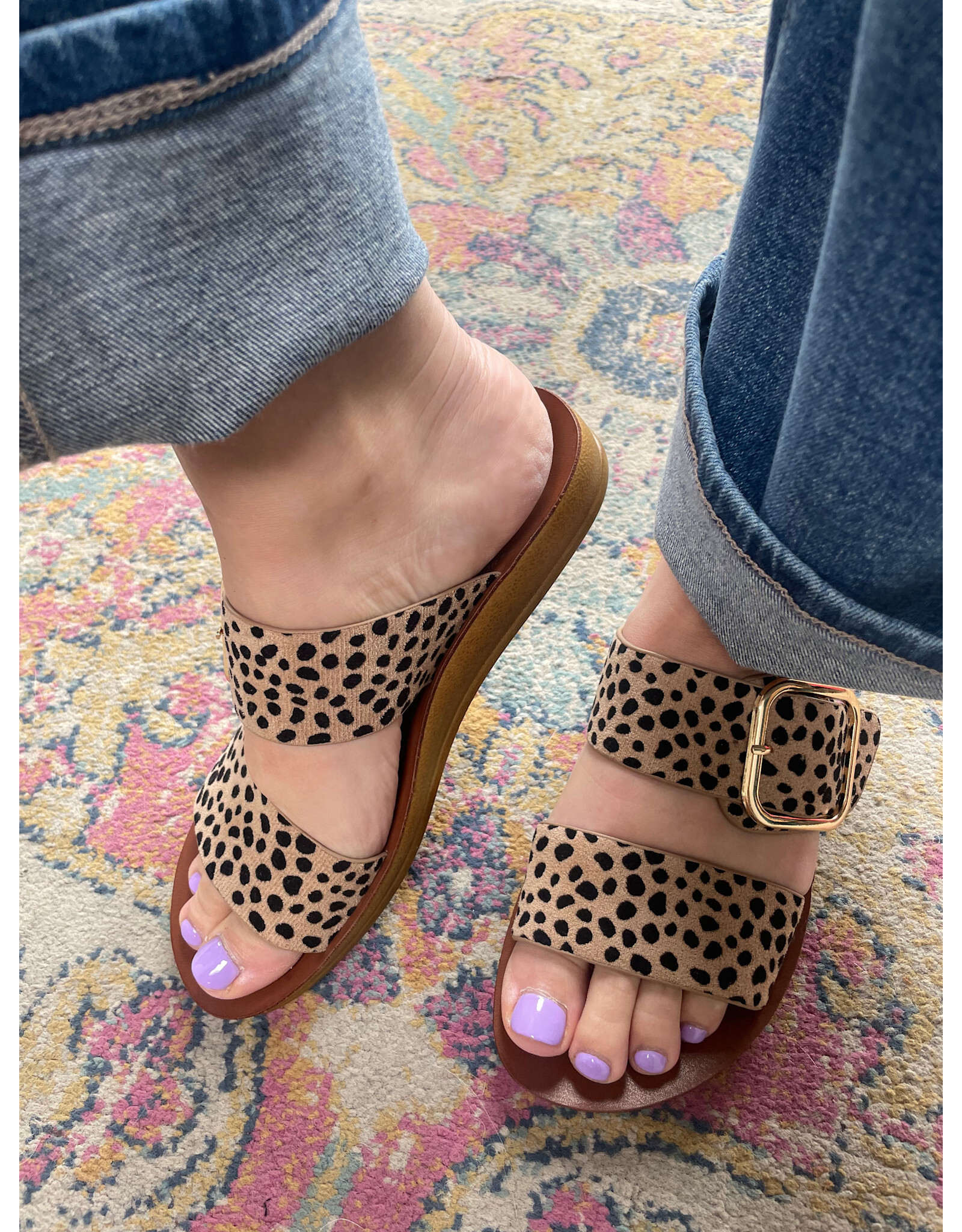 Los Cabos Los Cabos - Doti (Cheetah)