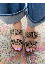 Los Cabos Los Cabos - Doti (Cheetah)