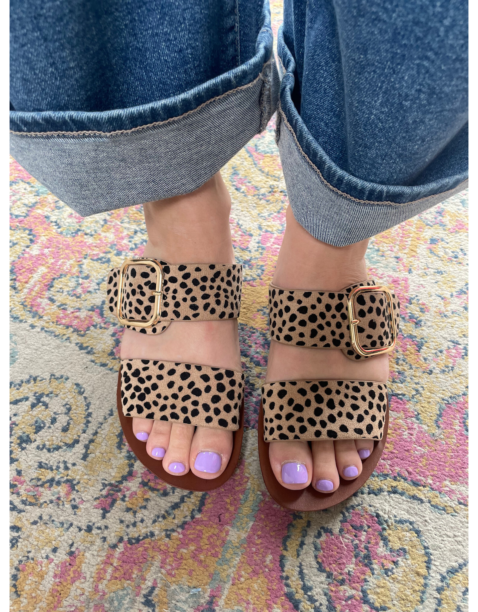 Los Cabos Los Cabos - Doti (Cheetah)