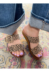 Los Cabos Los Cabos - Doti (Cheetah)