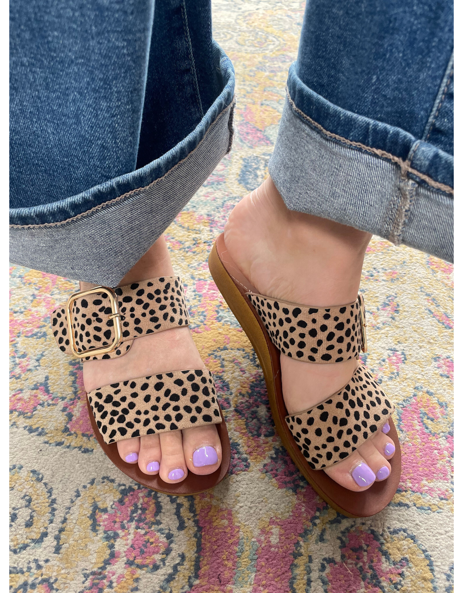 Los Cabos Los Cabos - Doti (Cheetah)