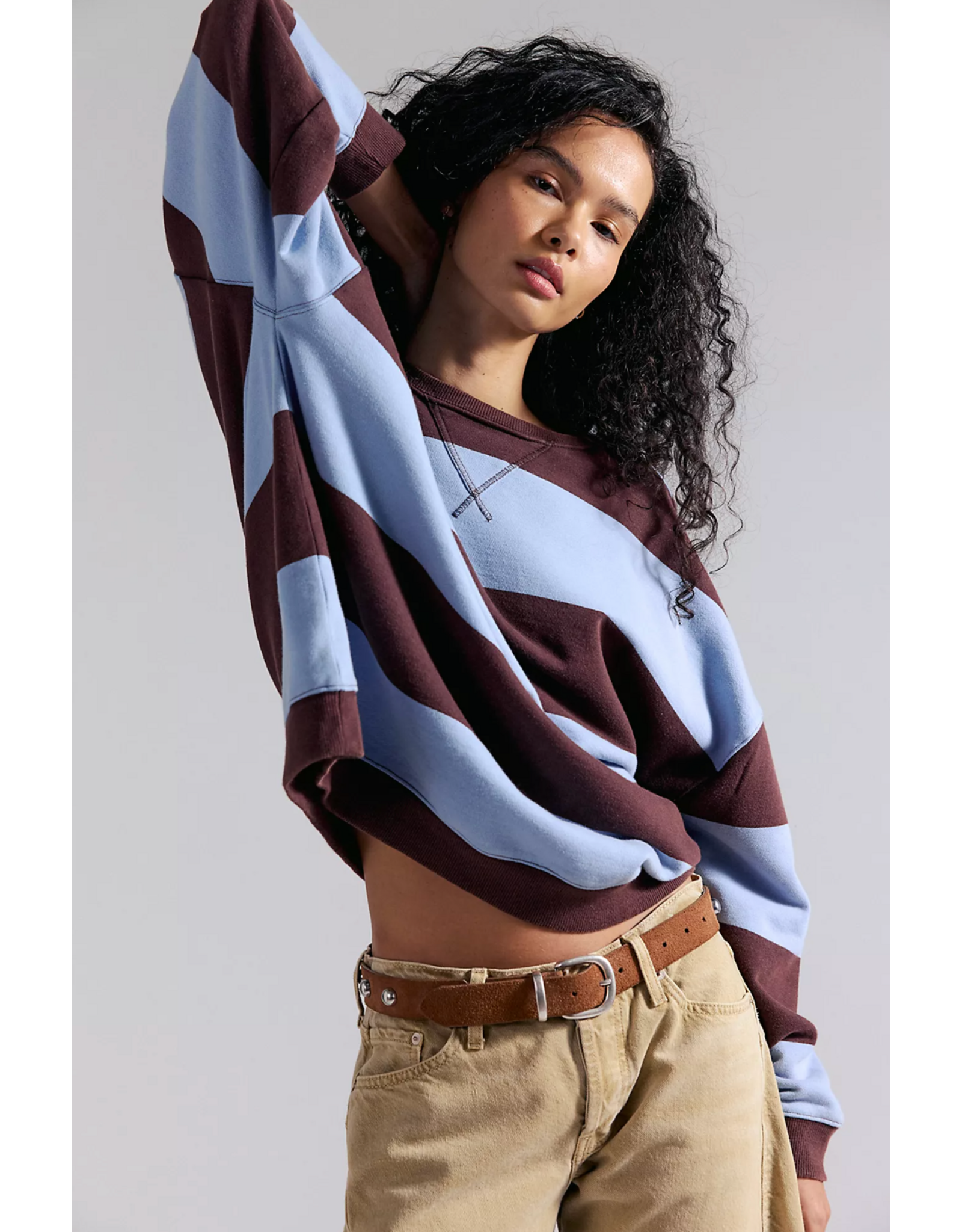 Free people Free People - We The Free Classic Striped Oversized Crewneck (Periwinkle Combo)