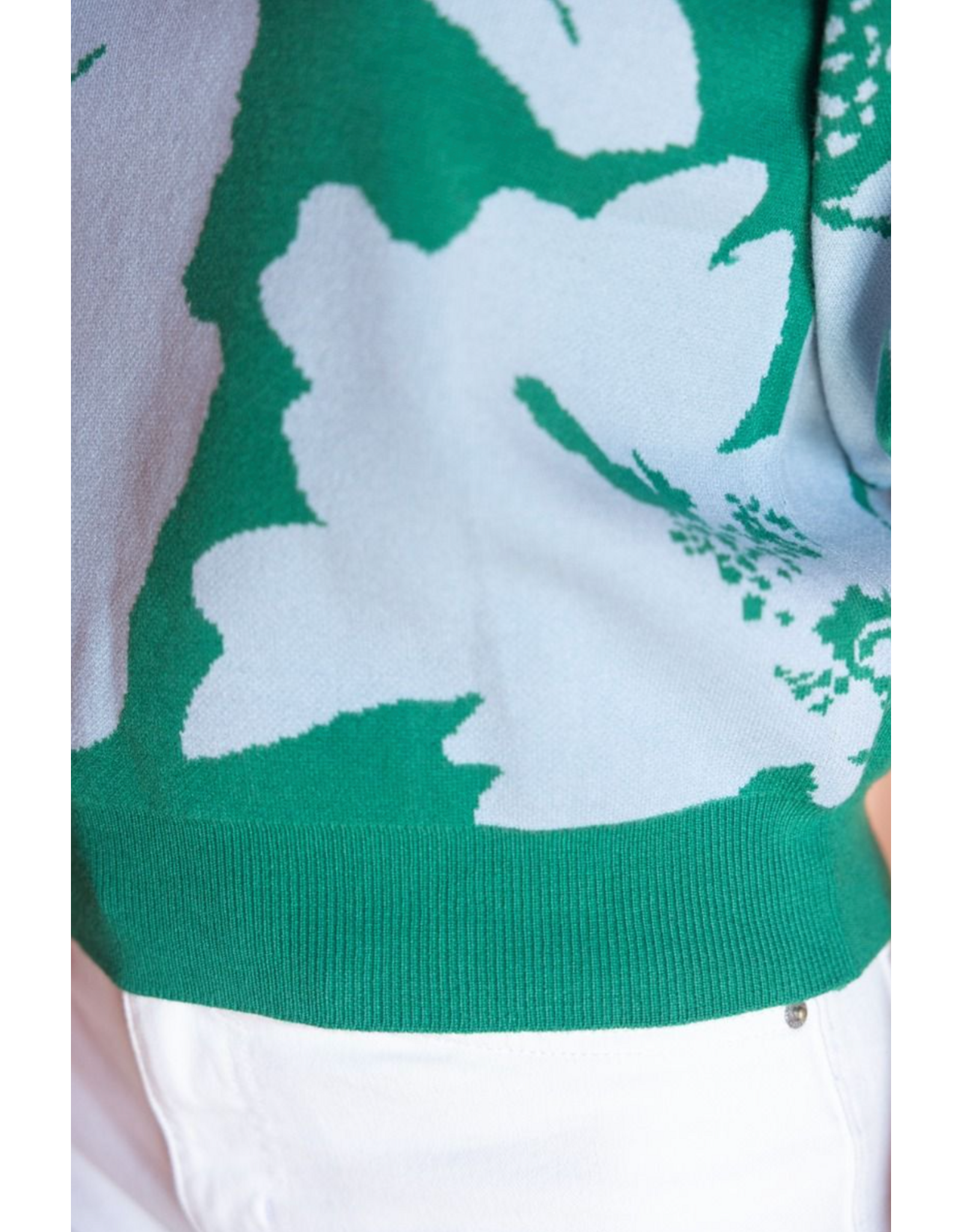 Voy Floral Print Bubble Sleeve Knit Top (Green)