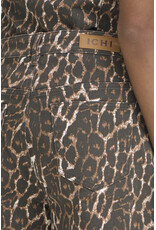 ICHI ICHI - Brokes Leopard Print Shorts