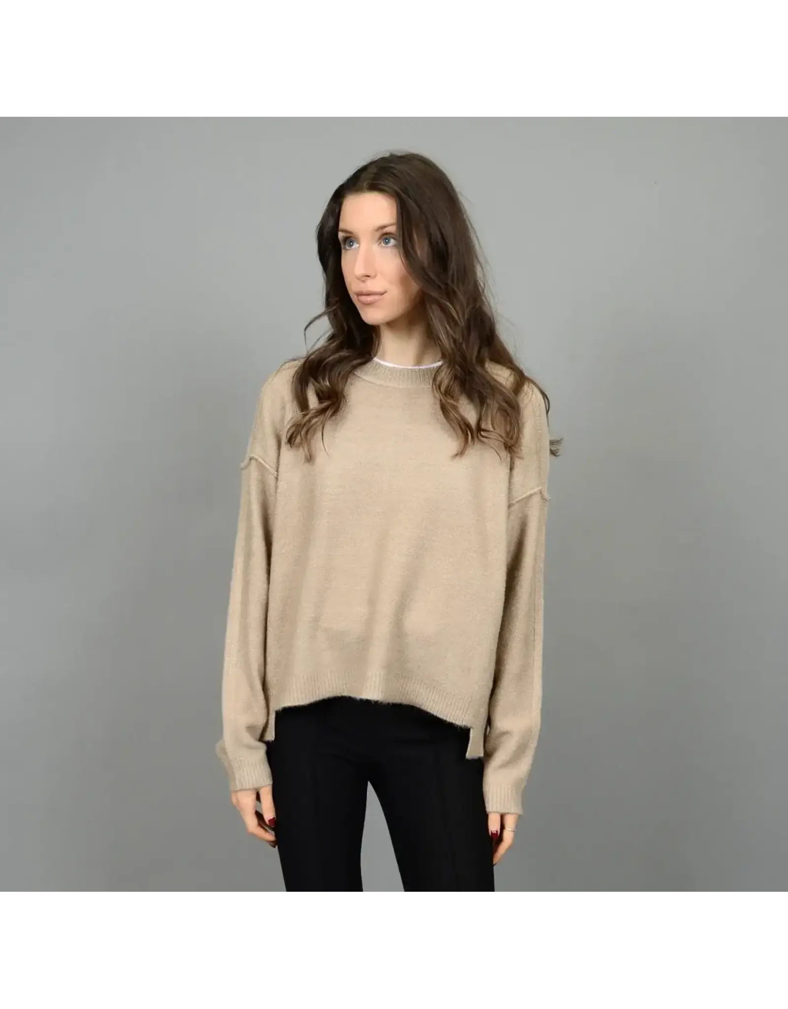 RD Style RD Style - Sanjana Long Sleeve Crew Neck (Dune Melange)
