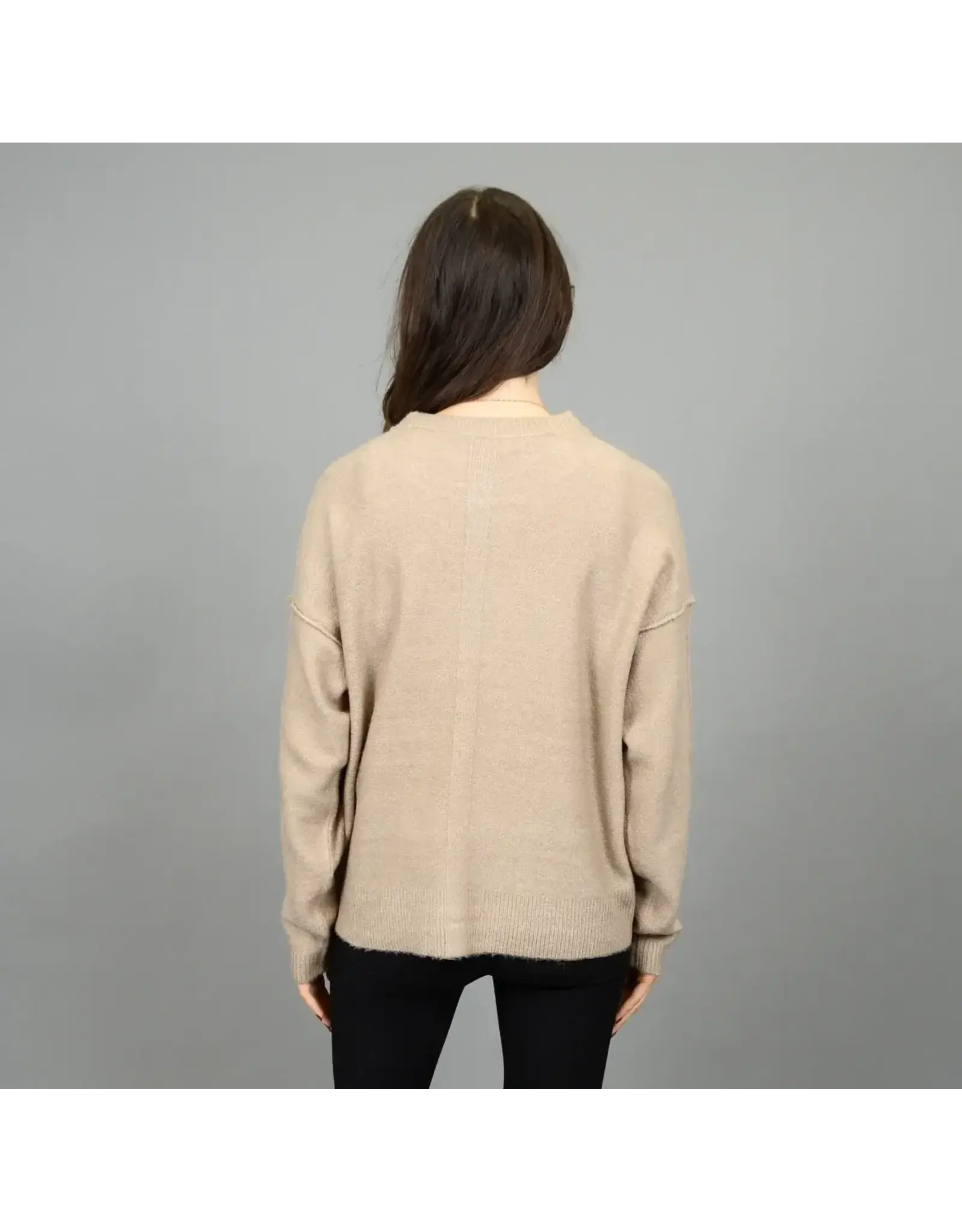 RD Style RD Style - Sanjana Long Sleeve Crew Neck (Dune Melange)