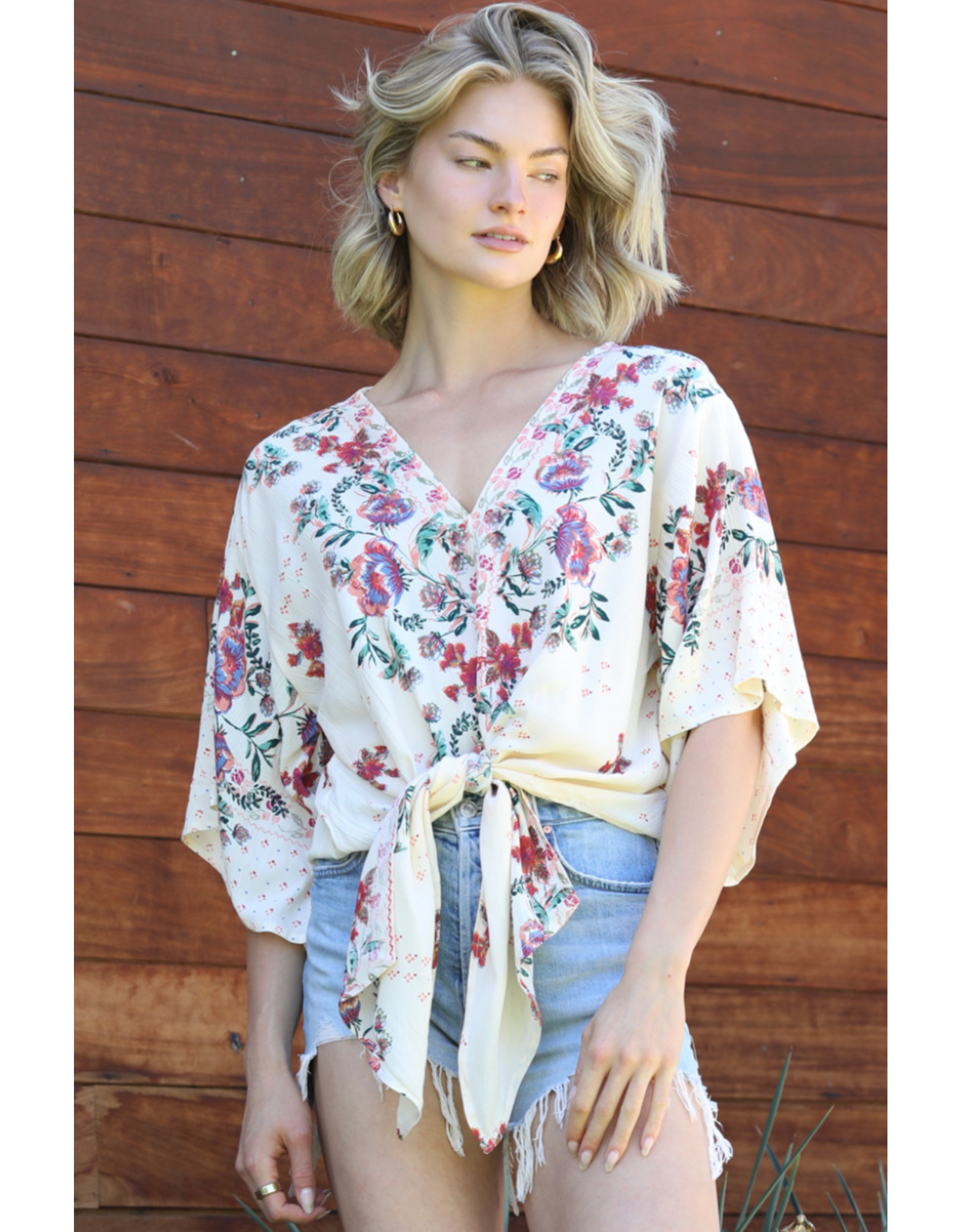 Nostalgia V Neck Tie Front Short Sleeve Top (Ivory)