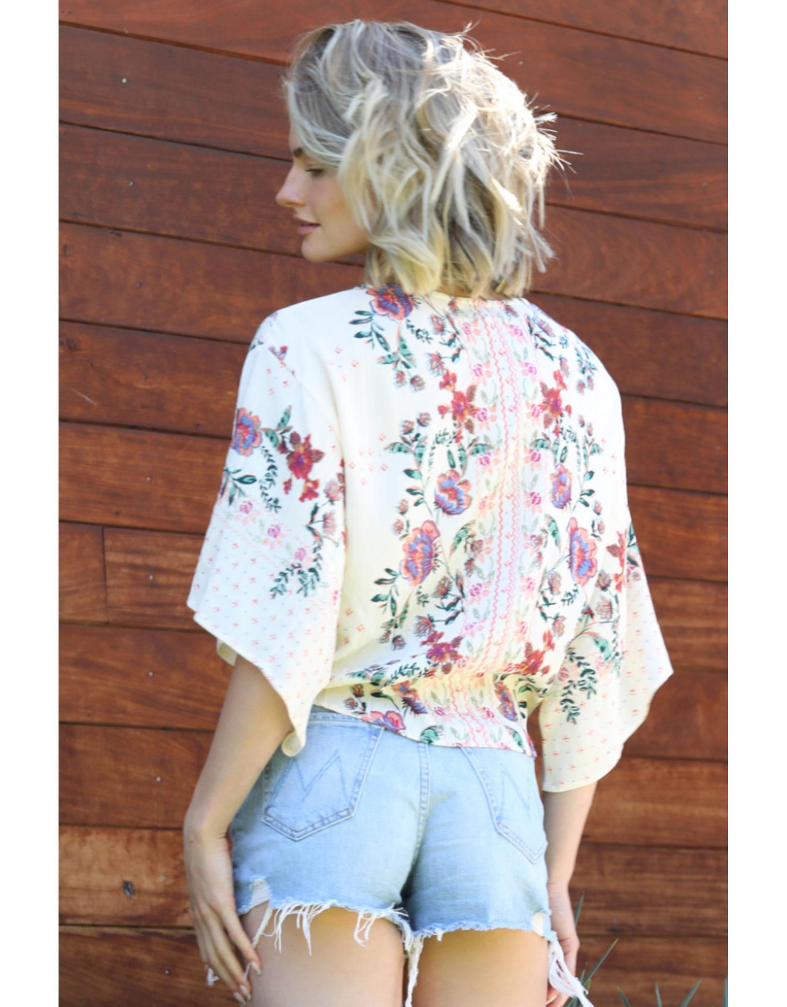 Nostalgia V Neck Tie Front Short Sleeve Top (Ivory)