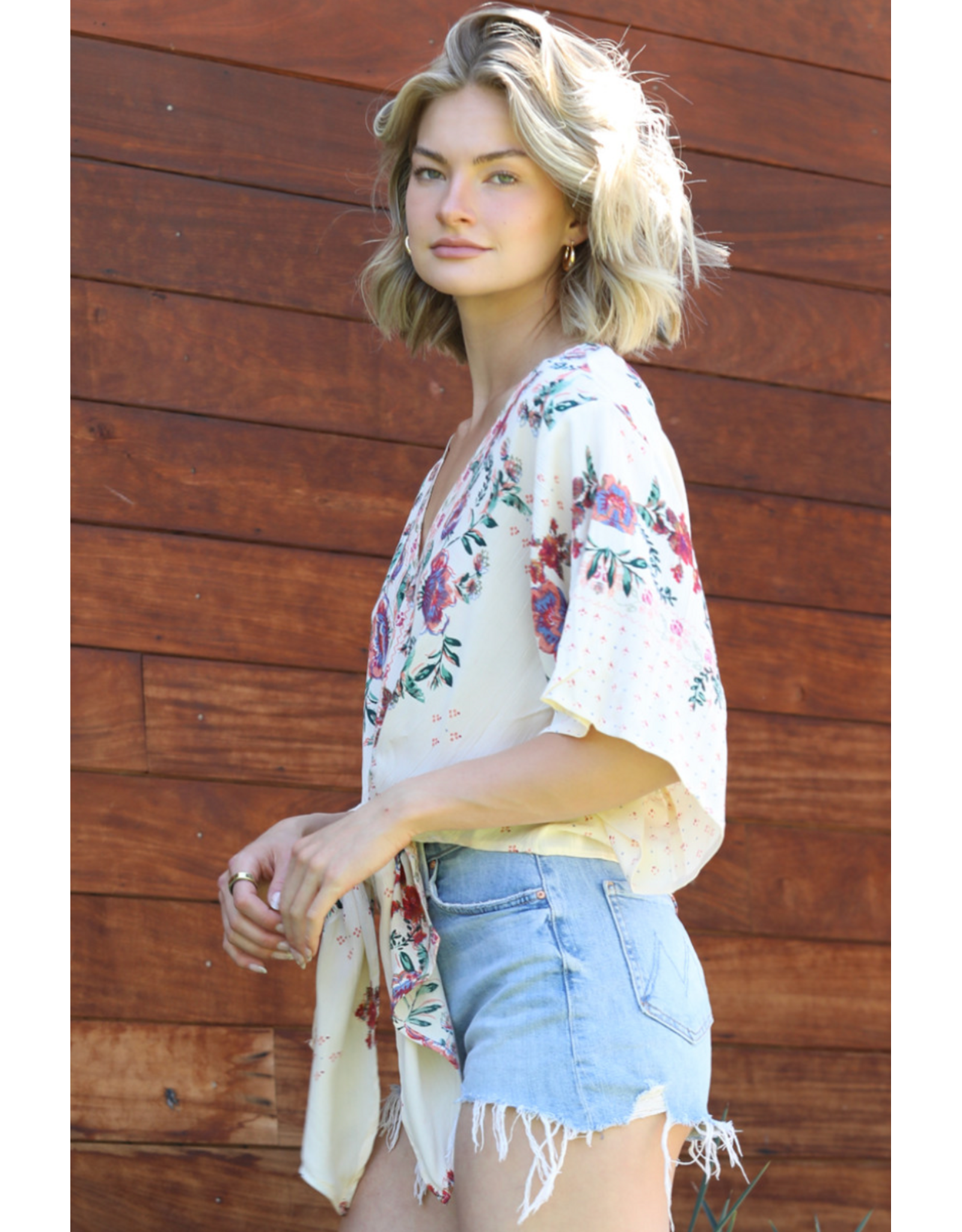 Nostalgia V Neck Tie Front Short Sleeve Top (Ivory)