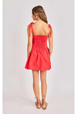 Sadie & Sage Sadie & Sage - Canyon Pintuck Tie Mini Dress (Red)