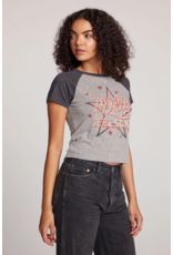 Chaser Chaser - Willie Nelson Cowboy Star (Streaky Grey)