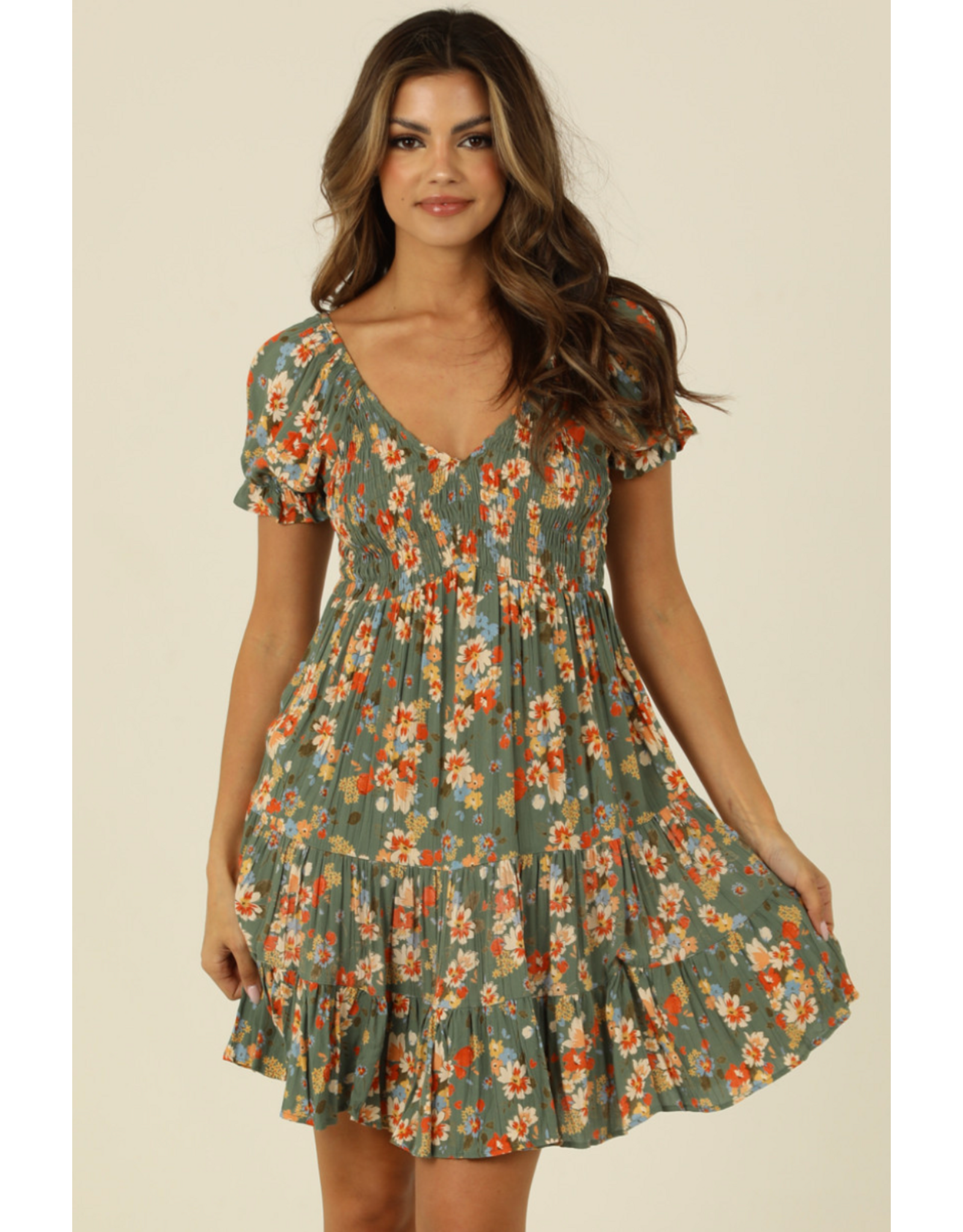 Embroidered V Neck Smocked Short Sleeve Dress (Watercress)