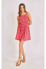 Sadie & Sage Sadie & Sage - Firecracker Shirred Mini Dress (Red)