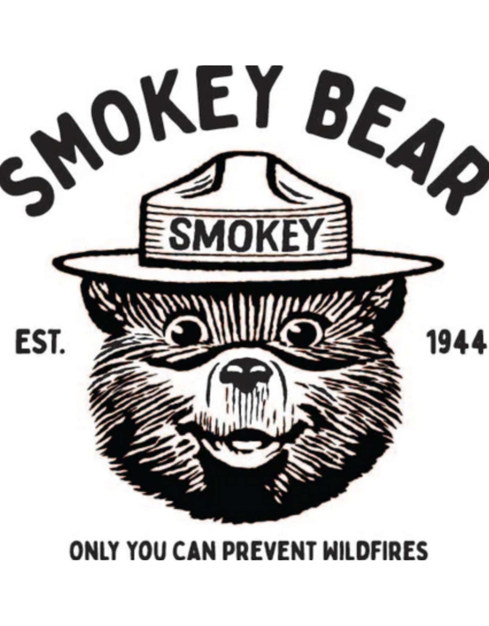 American Needle Smokey Bear Orville