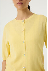Garcia Garcia - Short Sleeve Cardigan (Yellow)