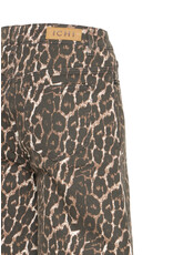 ICHI ICHI - Brokes Leopard Print Shorts