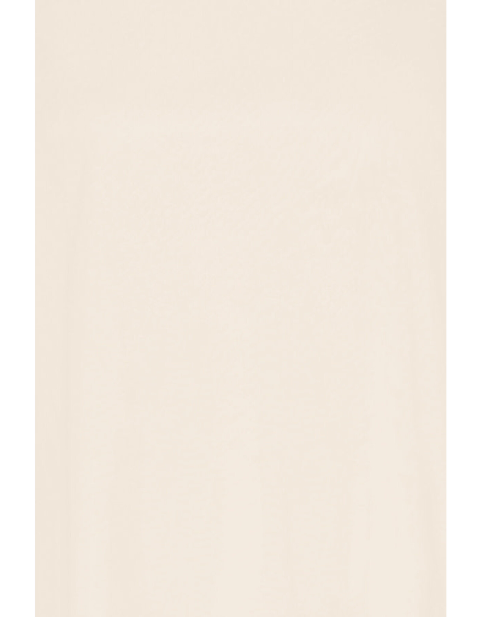 ICHI ICHI - Palmer Boxy Fit T Shirt (Birch)
