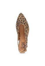 Miz Mooz Miz Mooz - Haven (Leopard Suede)