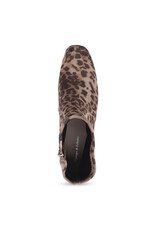 Django and Juliette Django & Juliette - Hartful (Taupe Leopard Stretch Fabric)