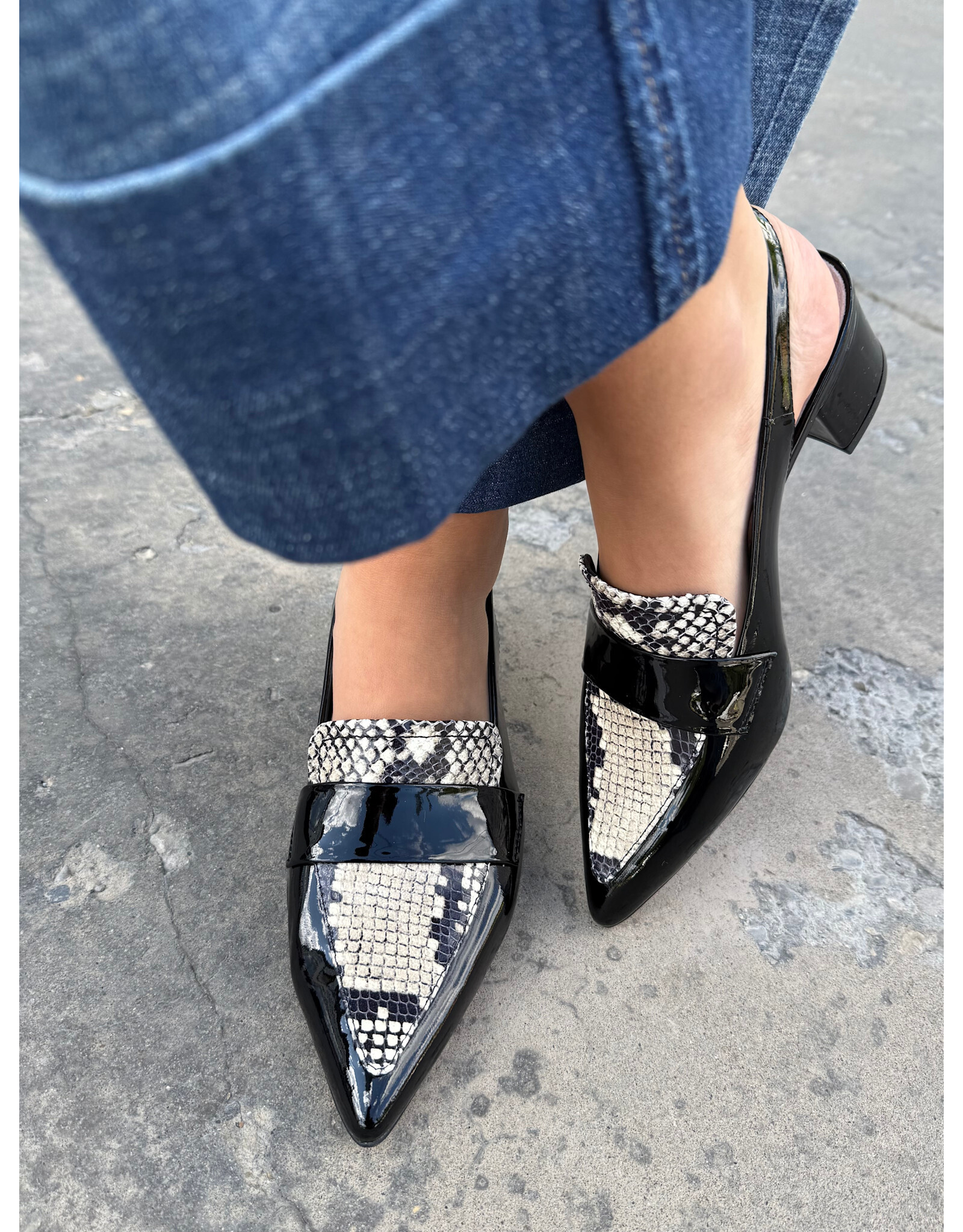 Django and Juliette Django & Juliette - Aiday (Blk / White Snake / Patent)