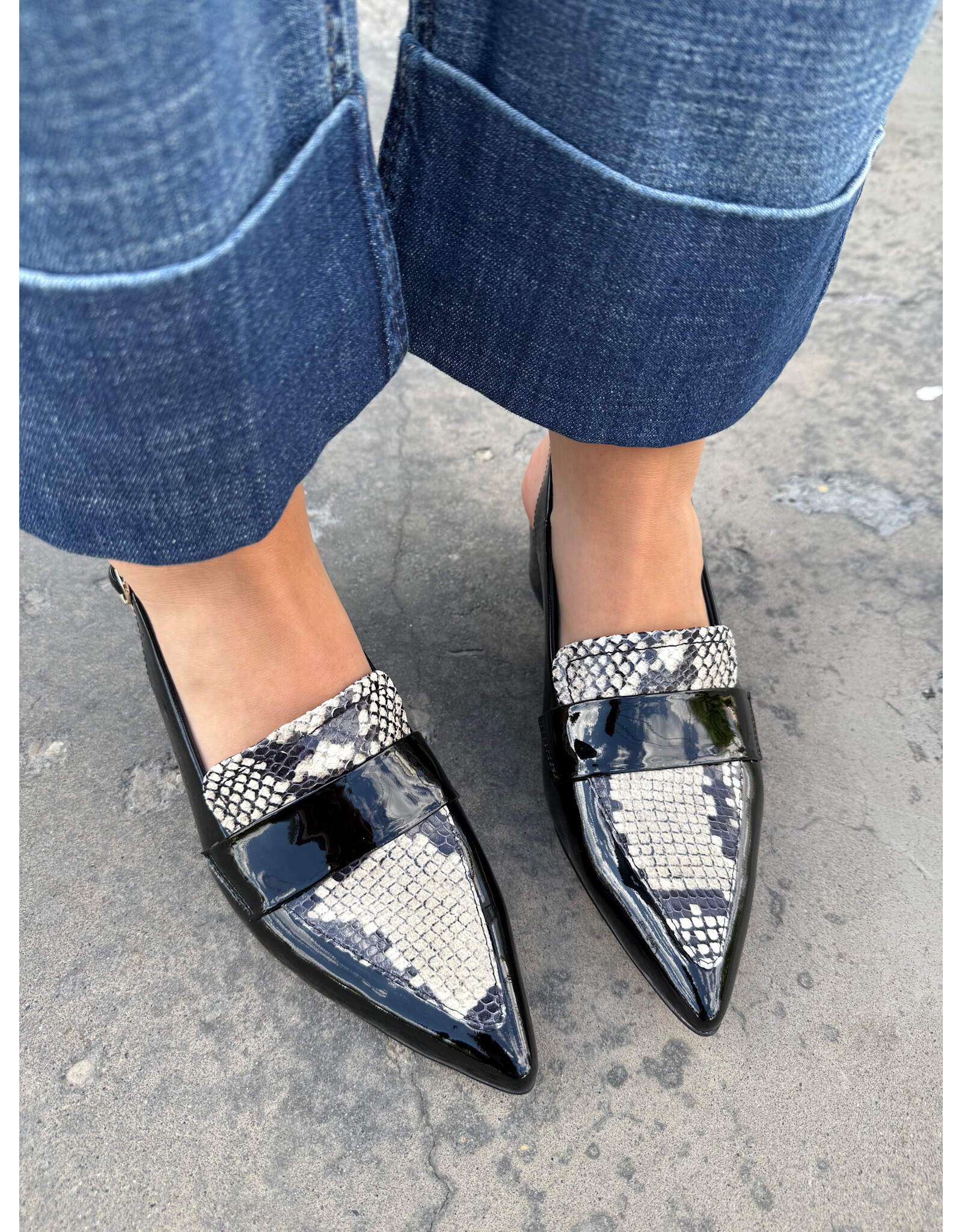 Django and Juliette Django & Juliette - Aiday (Blk / White Snake / Patent)