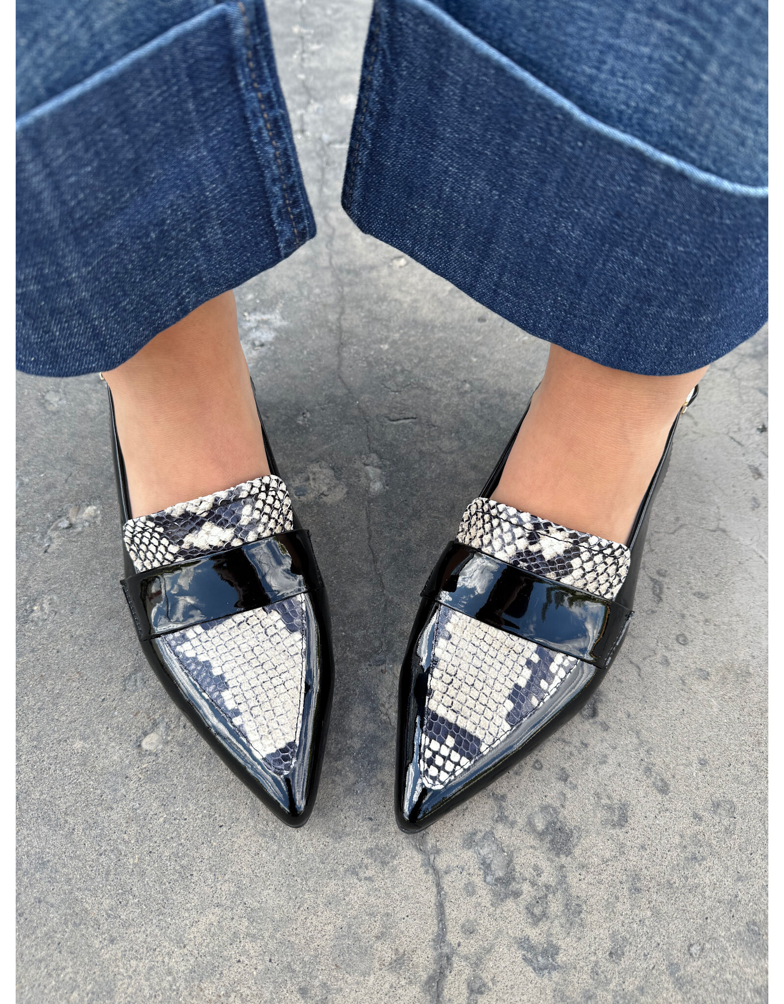 Django and Juliette Django & Juliette - Aiday (Blk / White Snake / Patent)