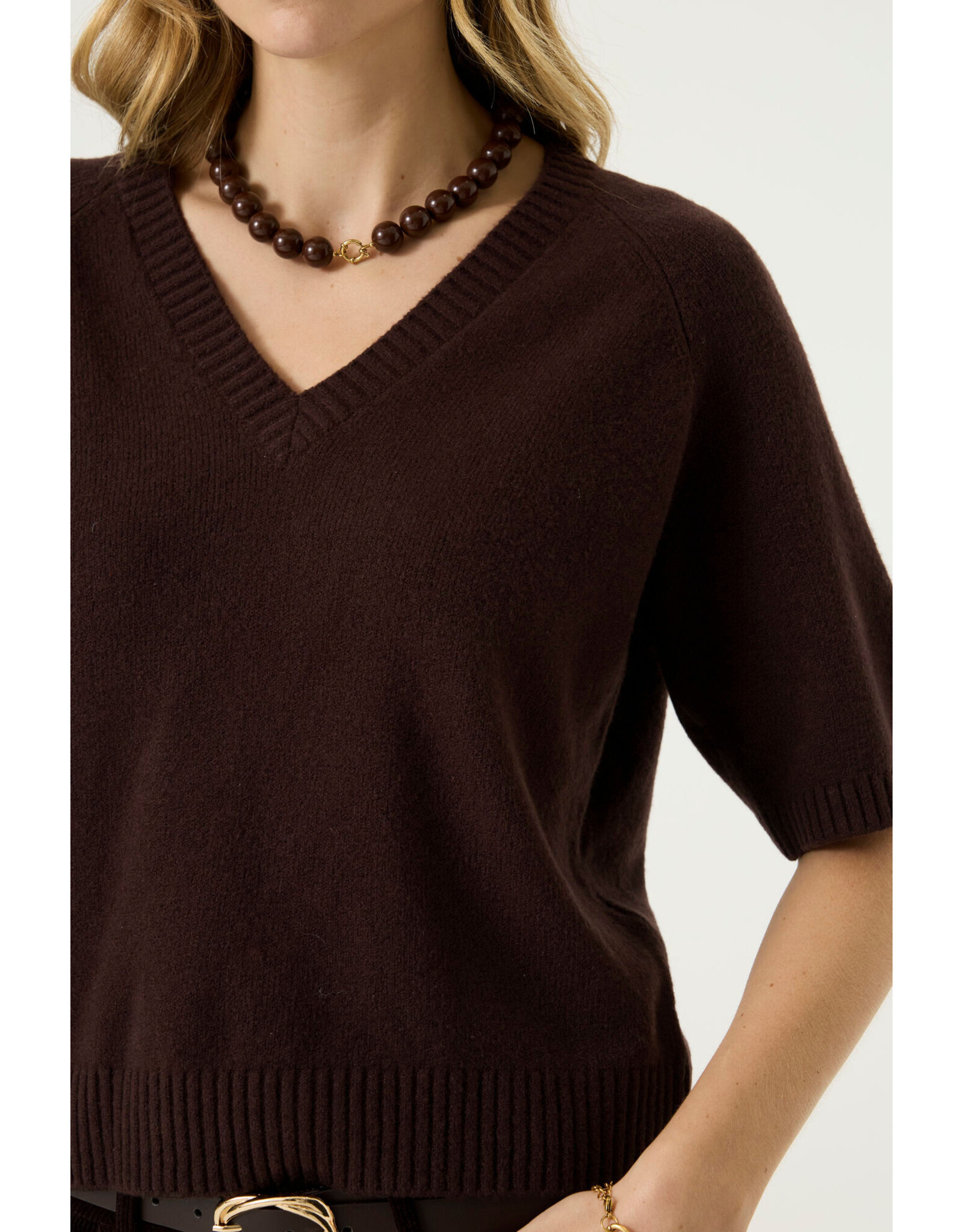 Garcia Garcia - Short Sleeve V Neck Sweater (Hazel Bloom)