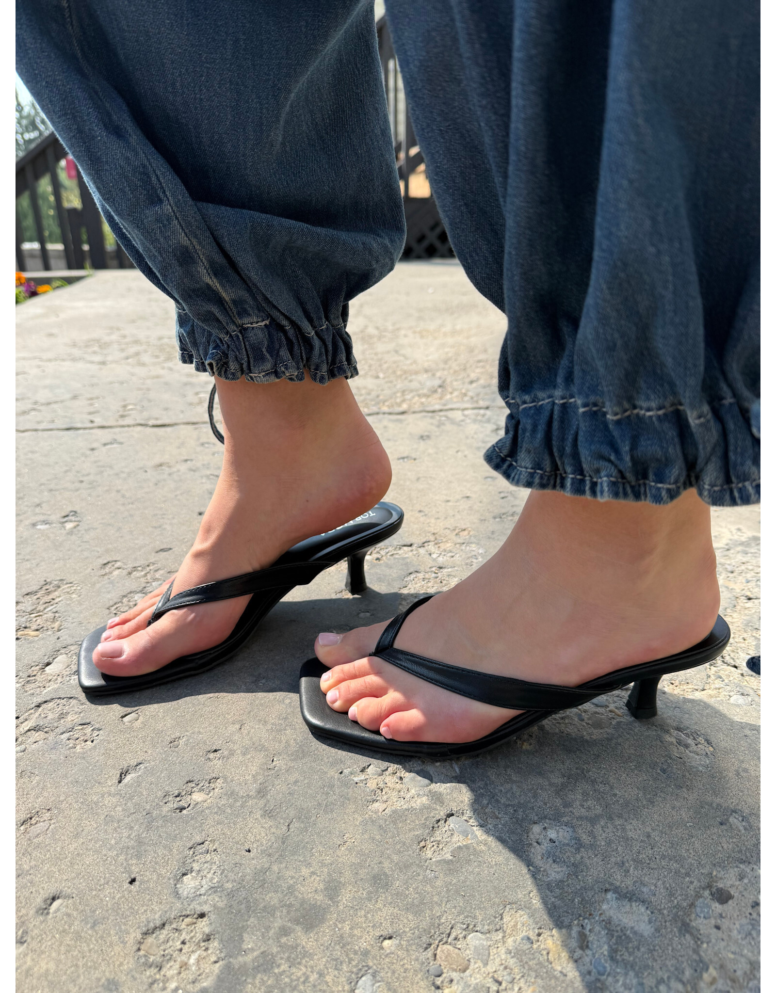 Let's See Style Lettie Kitten Heel Thong Mule (Black)