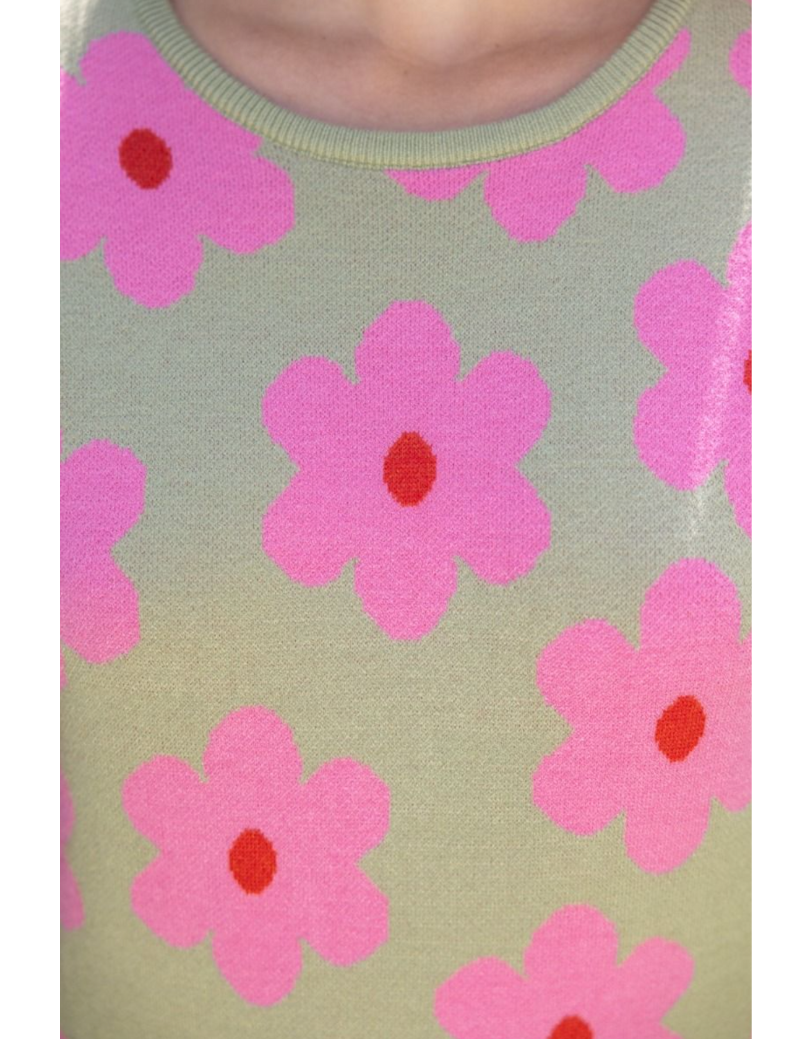 Voy Floral Print Knit Top with Bubble Sleeves (Olive)