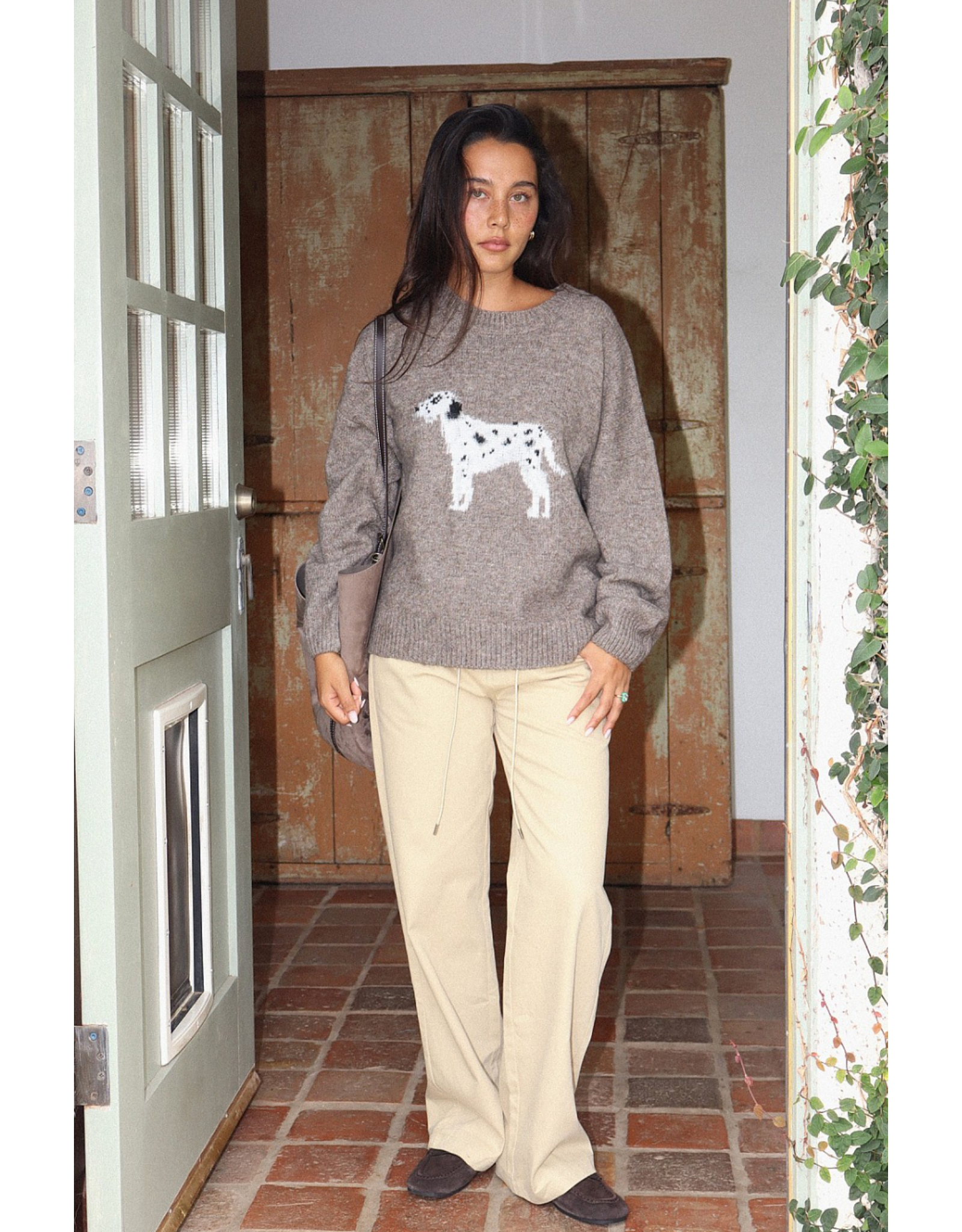 Bailey Rose Dalmation Sweater (Mocha)