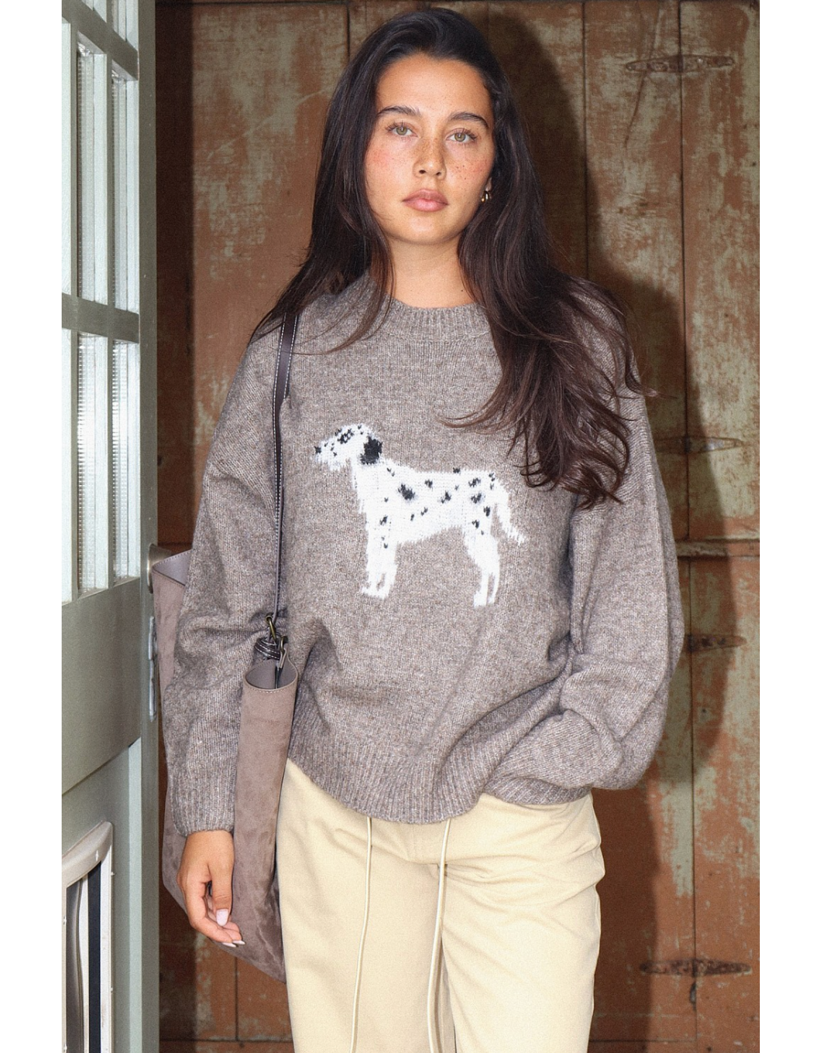 Bailey Rose Dalmation Sweater (Mocha)