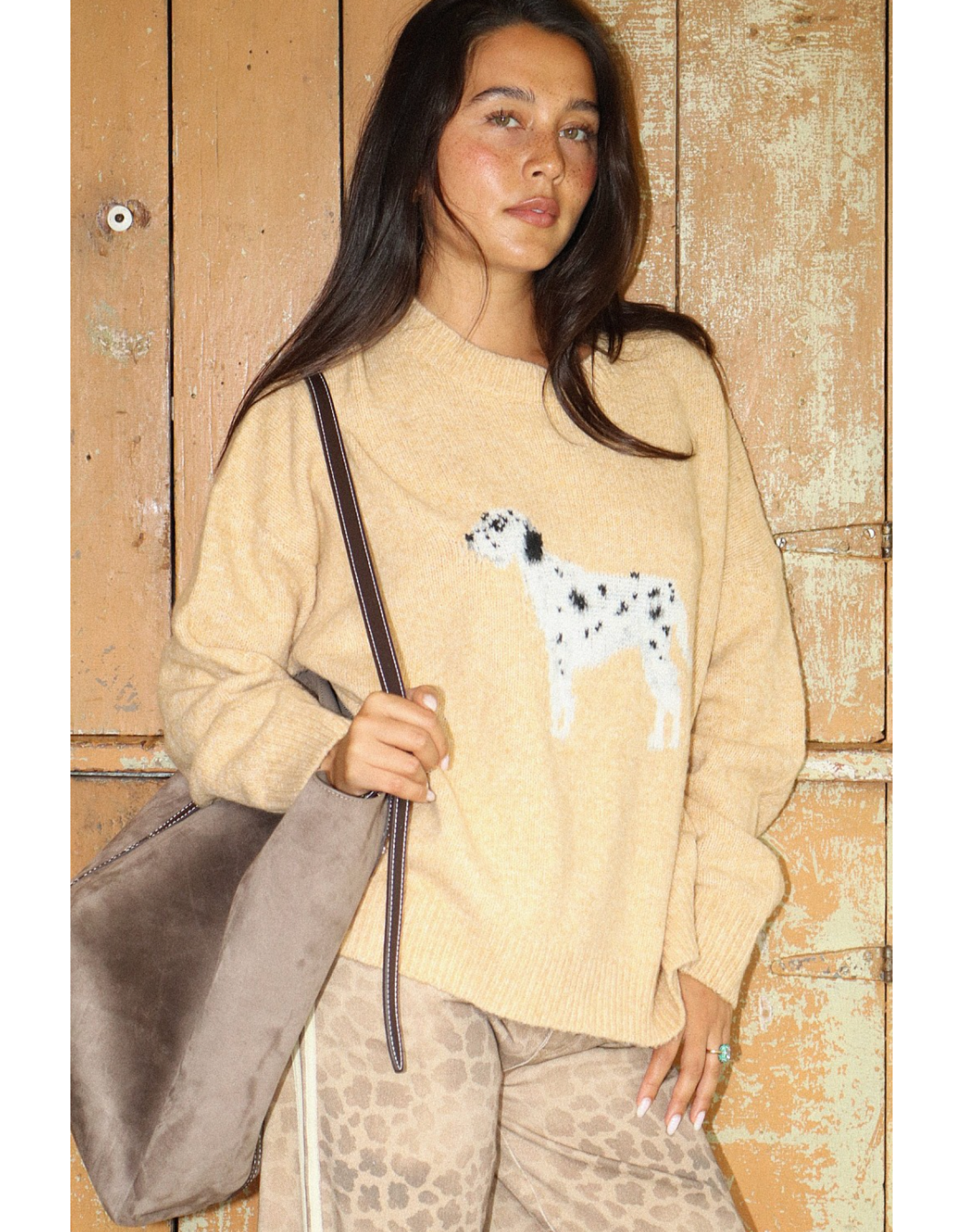 Bailey Rose Dalmation Sweater (Yellow)