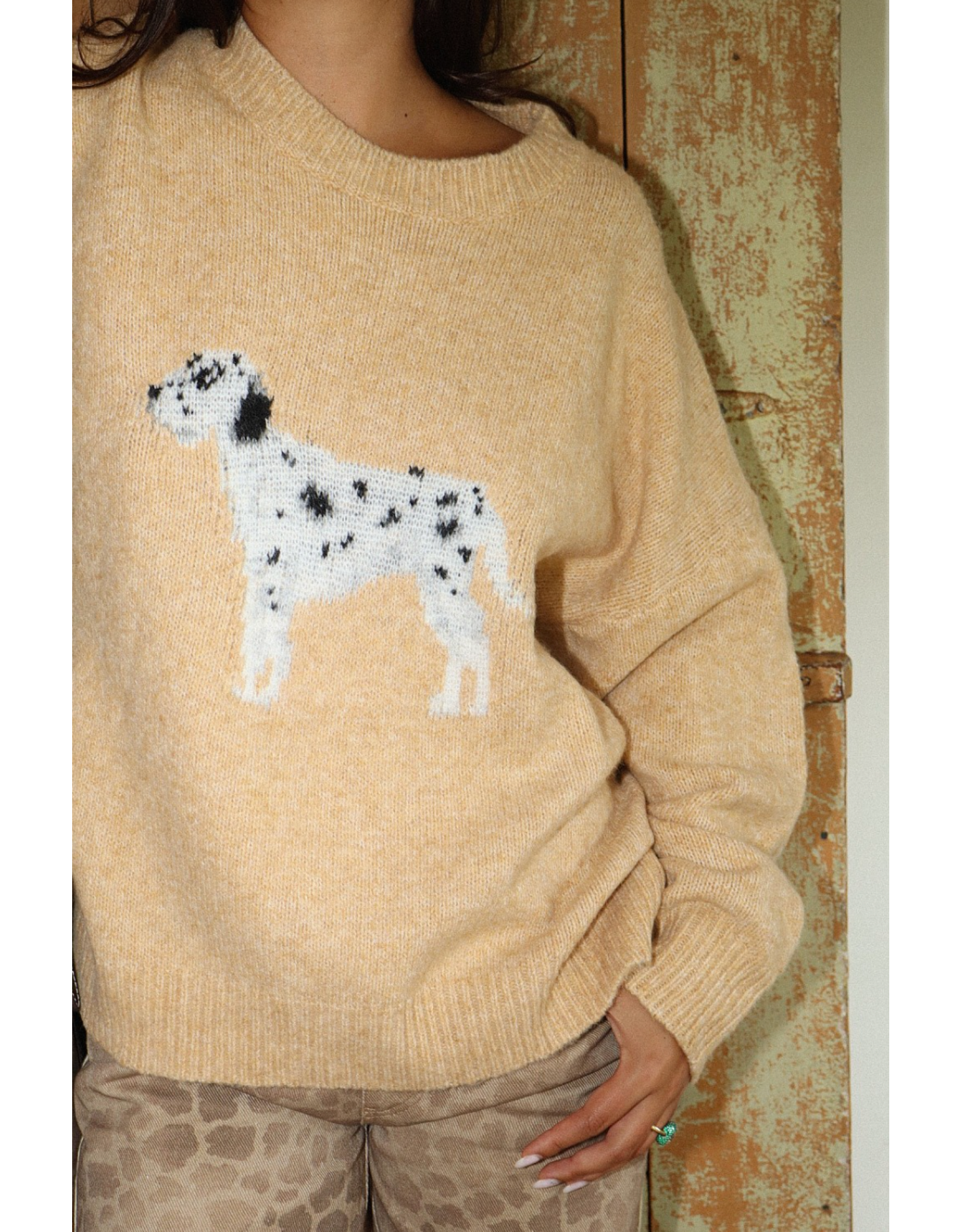 Bailey Rose Dalmation Sweater (Yellow)