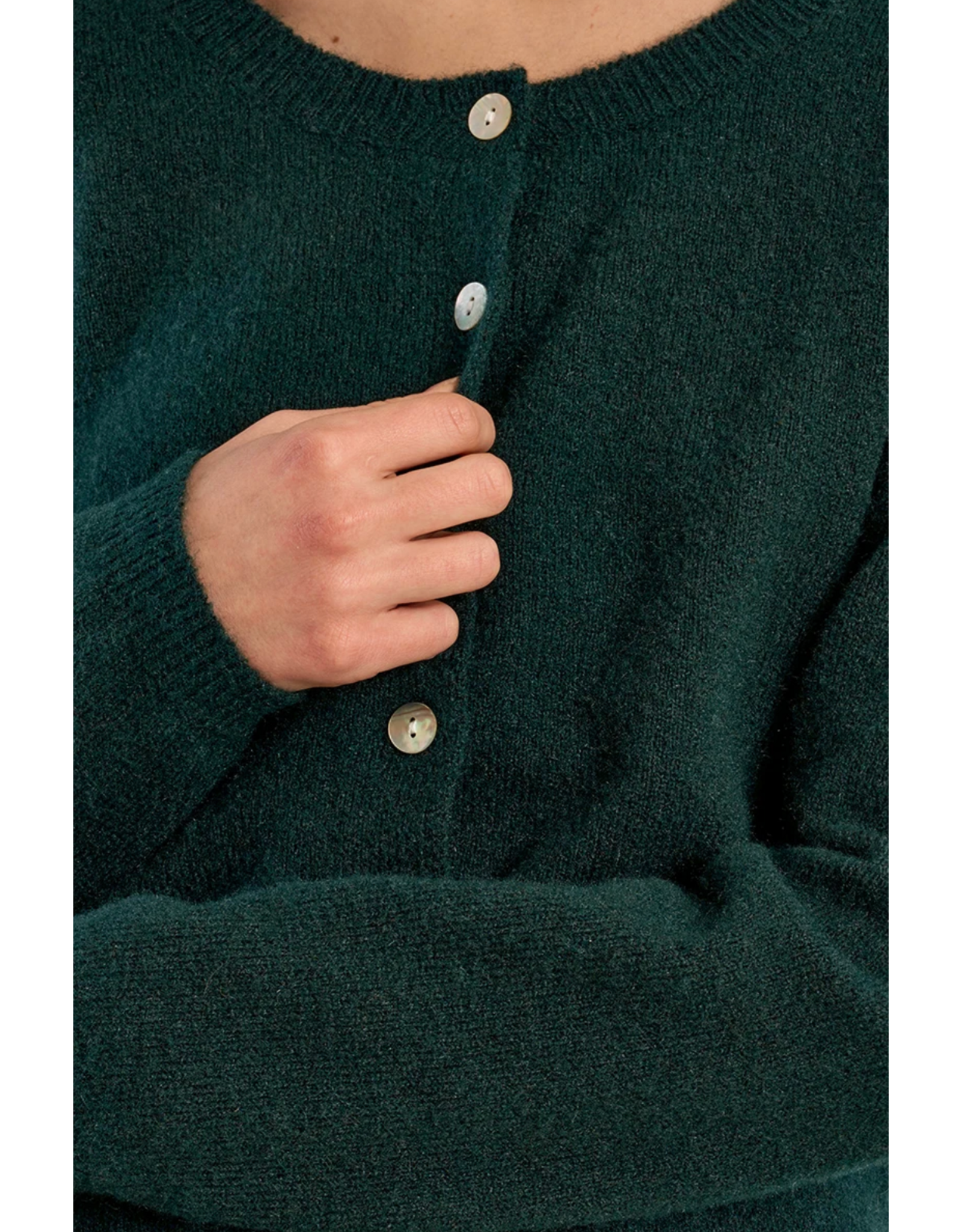 Molly Bracken Molly Bracken - Round Neck Cardigan (Green)