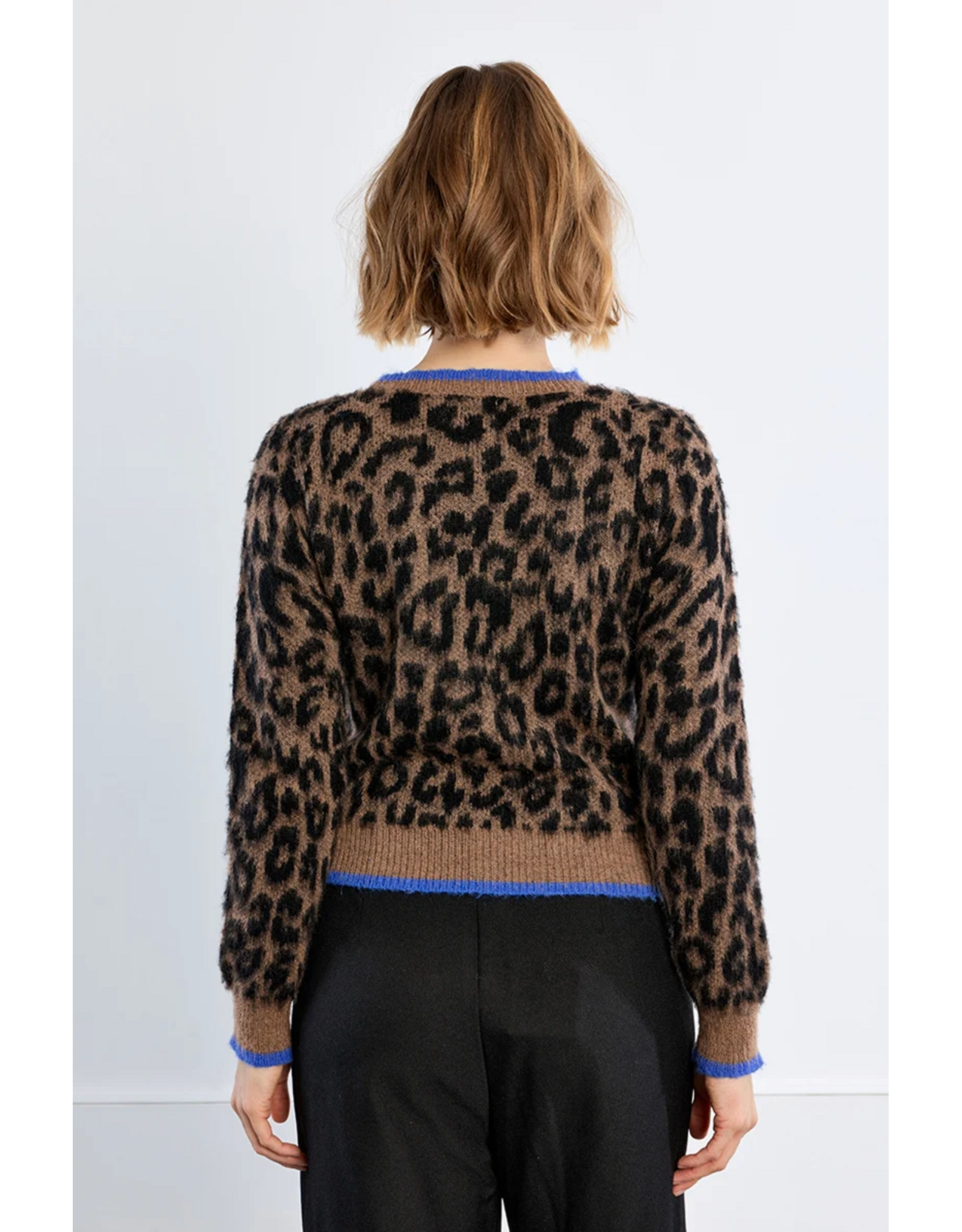 Molly Bracken Molly Bracken - Leopard Print Sweater with Blue Trim