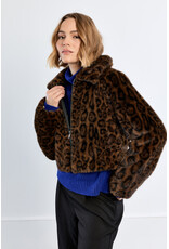 Molly Bracken Molly Bracken - Faux Fur Leopard Jacket