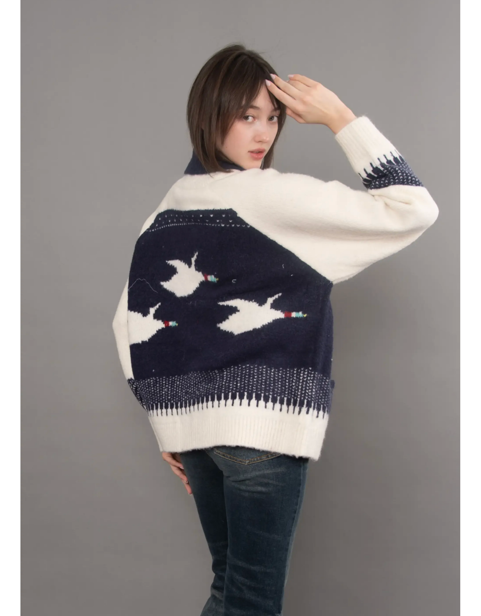 RD Style RD Style - Taji Shawl Collar Sweater (Navy)