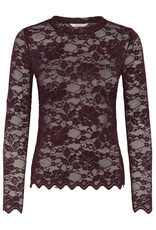 Cream Cream - Pitia Lace Top (Fudge)