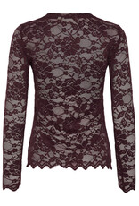 Cream Cream - Pitia Lace Top (Fudge)