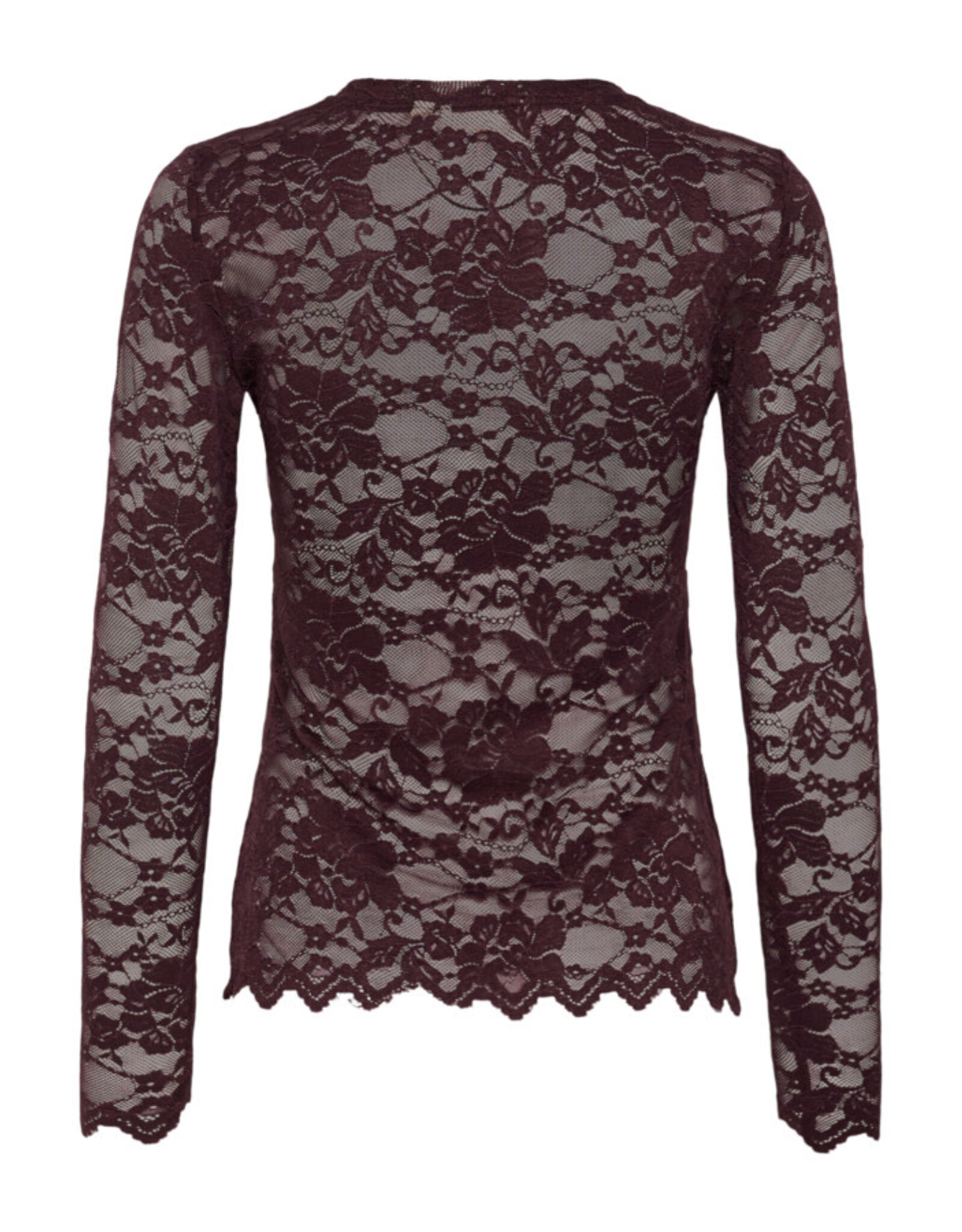 Cream Cream - Pitia Lace Top (Fudge)