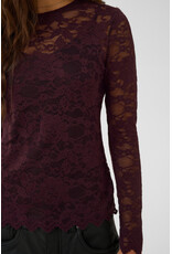 Cream Cream - Pitia Lace Top (Fudge)