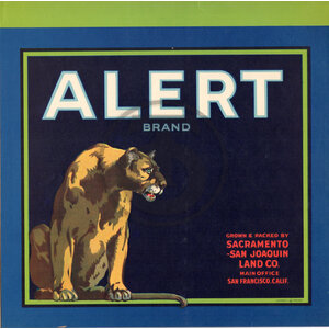 Alert Brand Sacramento San Joaquin Land Co
