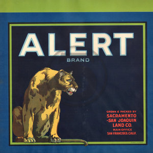 Alert Brand Sacramento San Joaquin Land Co